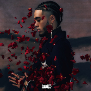 未亡人之木塔子
