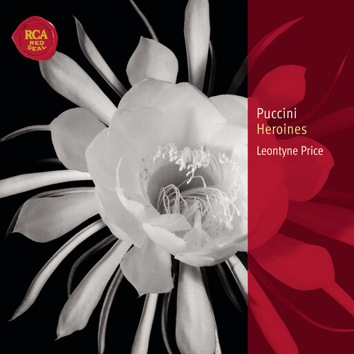 未亡人之木塔子
