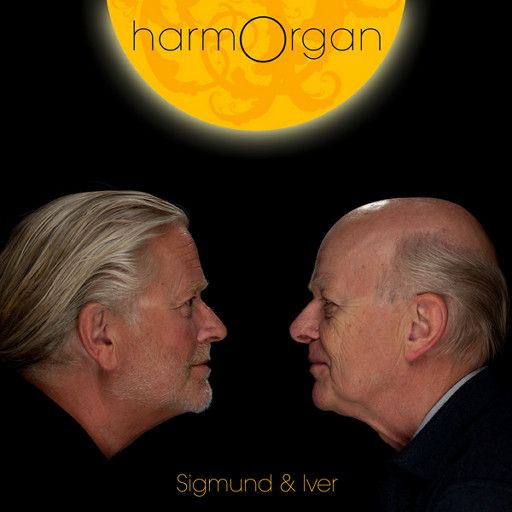 未亡人之木塔子
